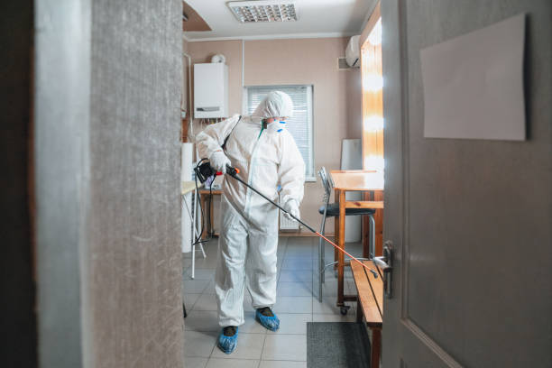 Best Basement Mold Removal  in Fairless Hills, PA